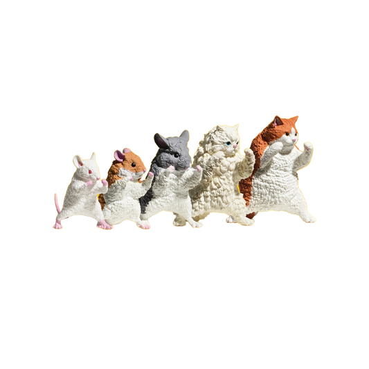 Kung Fu Animals Blind Box