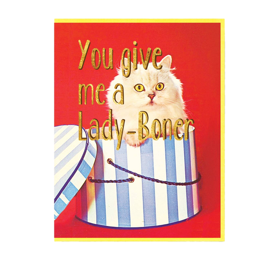 You Give Me a Lady Boner Greeting Card