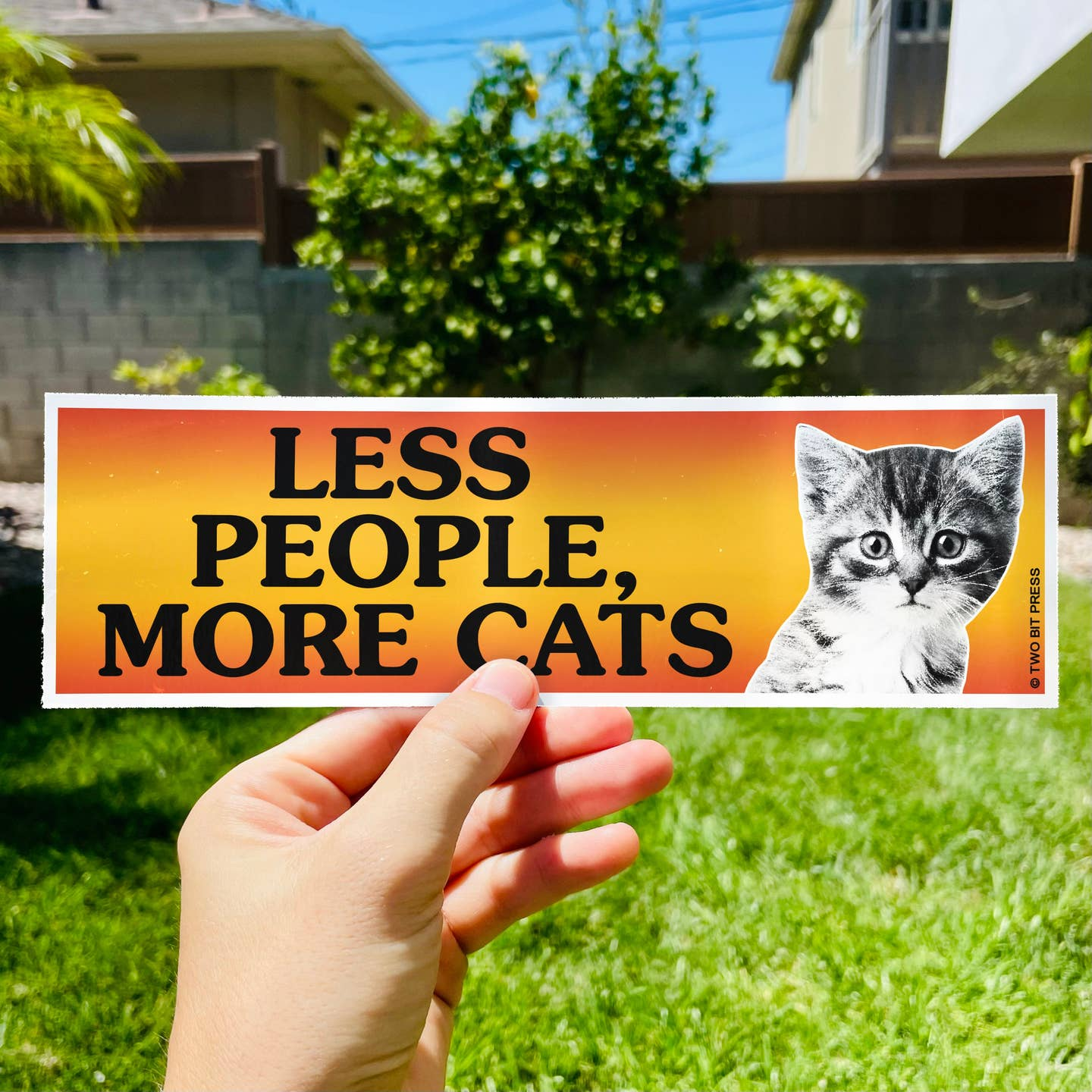 Less People More Cats Bumper Sticker