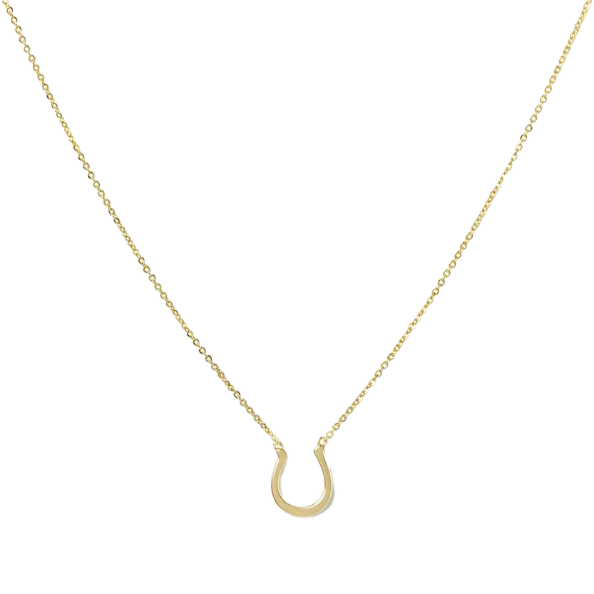 Horseshoe Lucky You Necklace