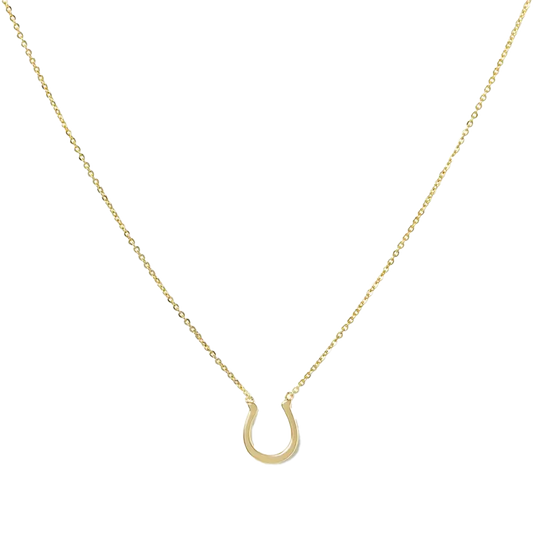 Horseshoe Lucky You Necklace