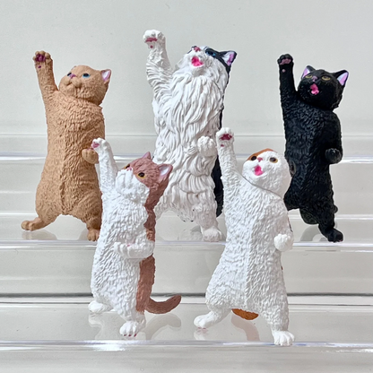 Cat Cheer Nyaooo! Vol.2 Blind Box