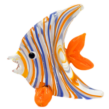 Glass Angel Fish