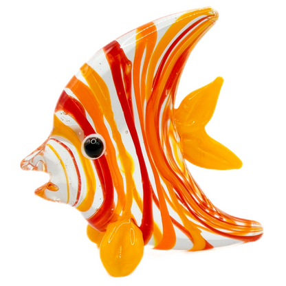 Glass Angel Fish