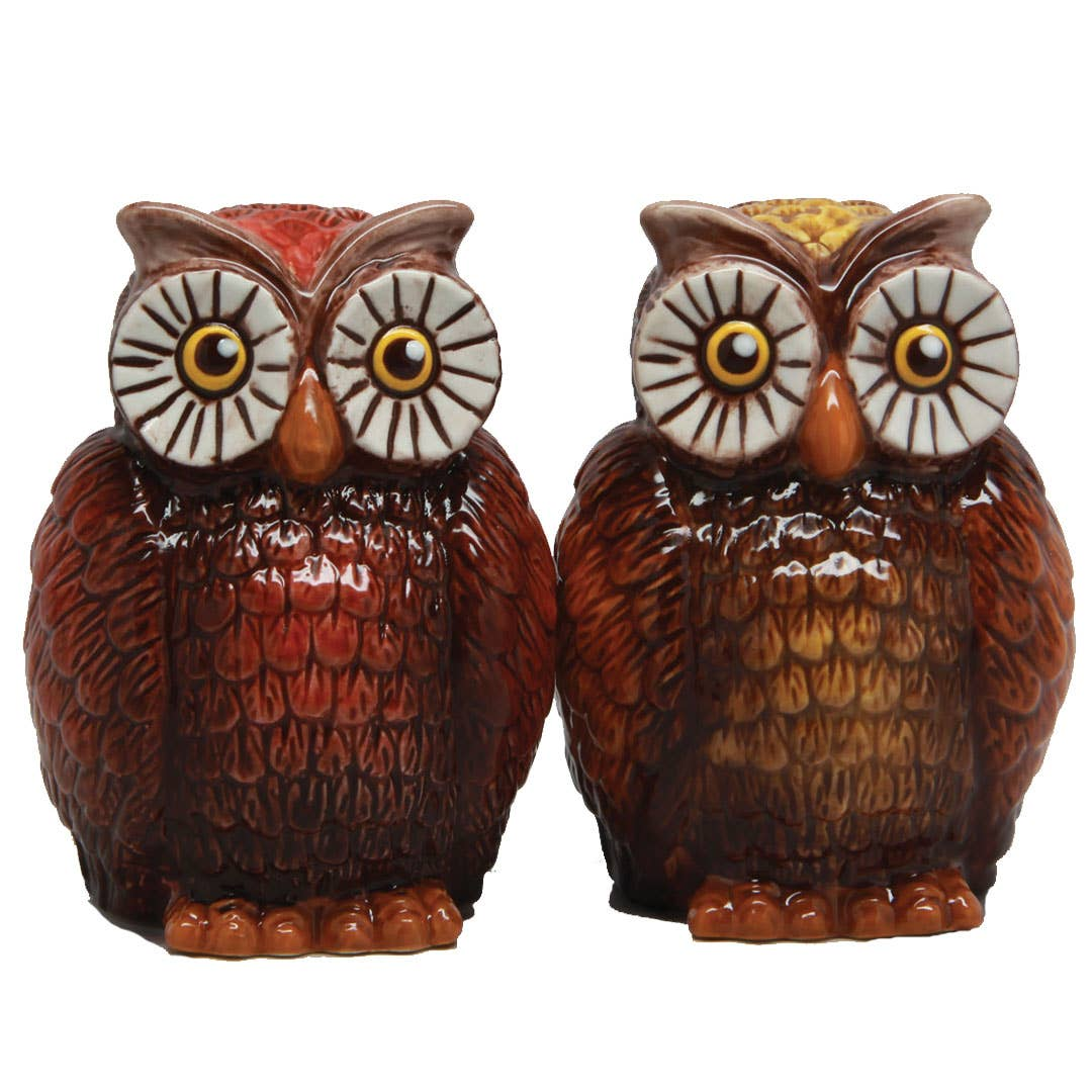 Owls Salt & Pepper Shaker Set