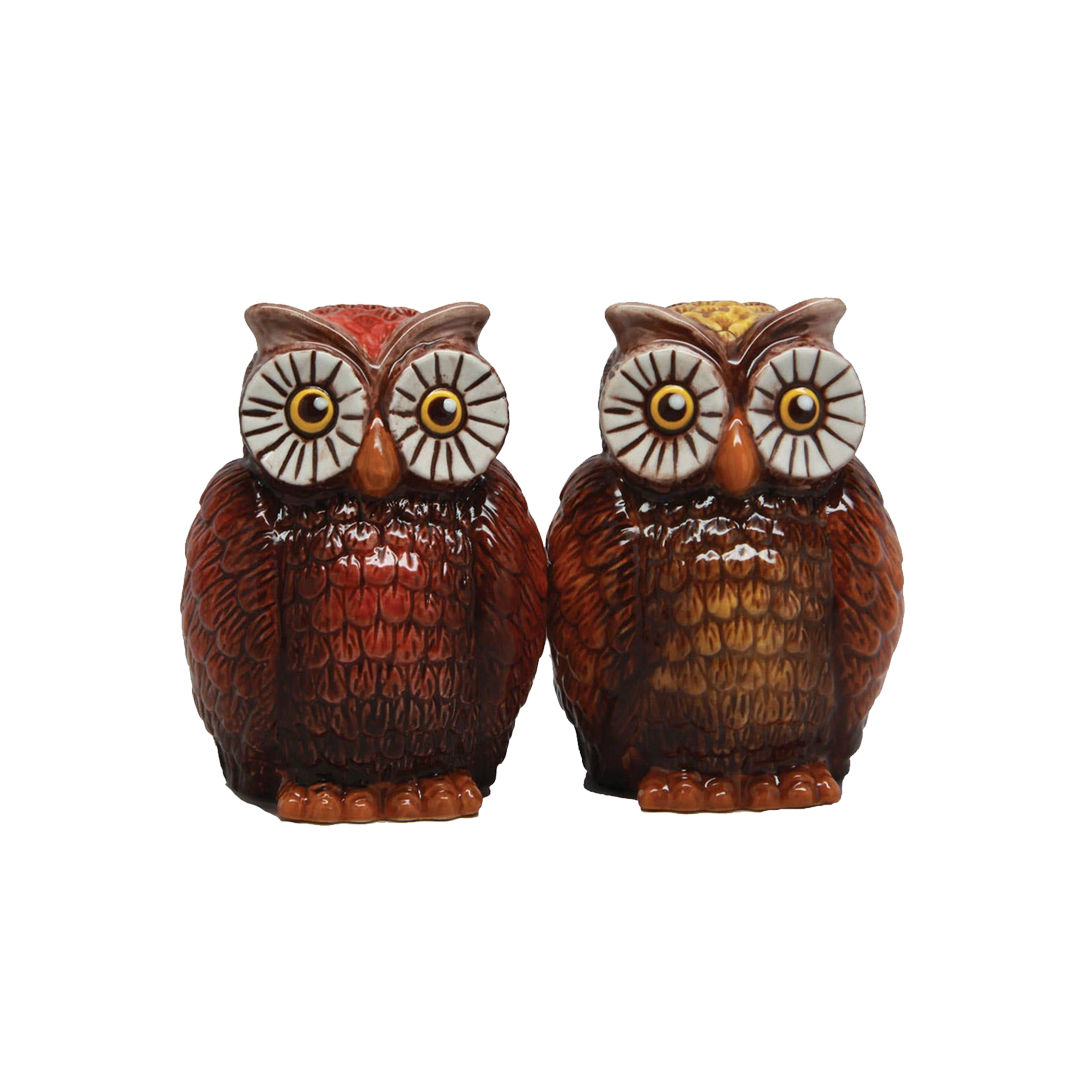 Owls Salt & Pepper Shaker Set