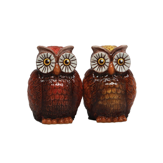 Owls Salt & Pepper Shaker Set