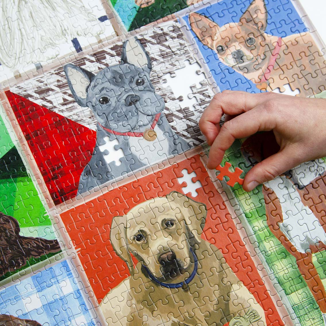 Dog Breeds Jigsaw Puzzle - 1000pcs