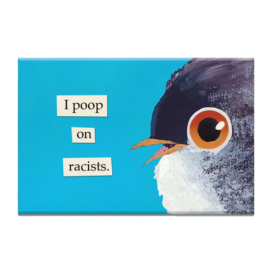 Poop On Racists Magnet