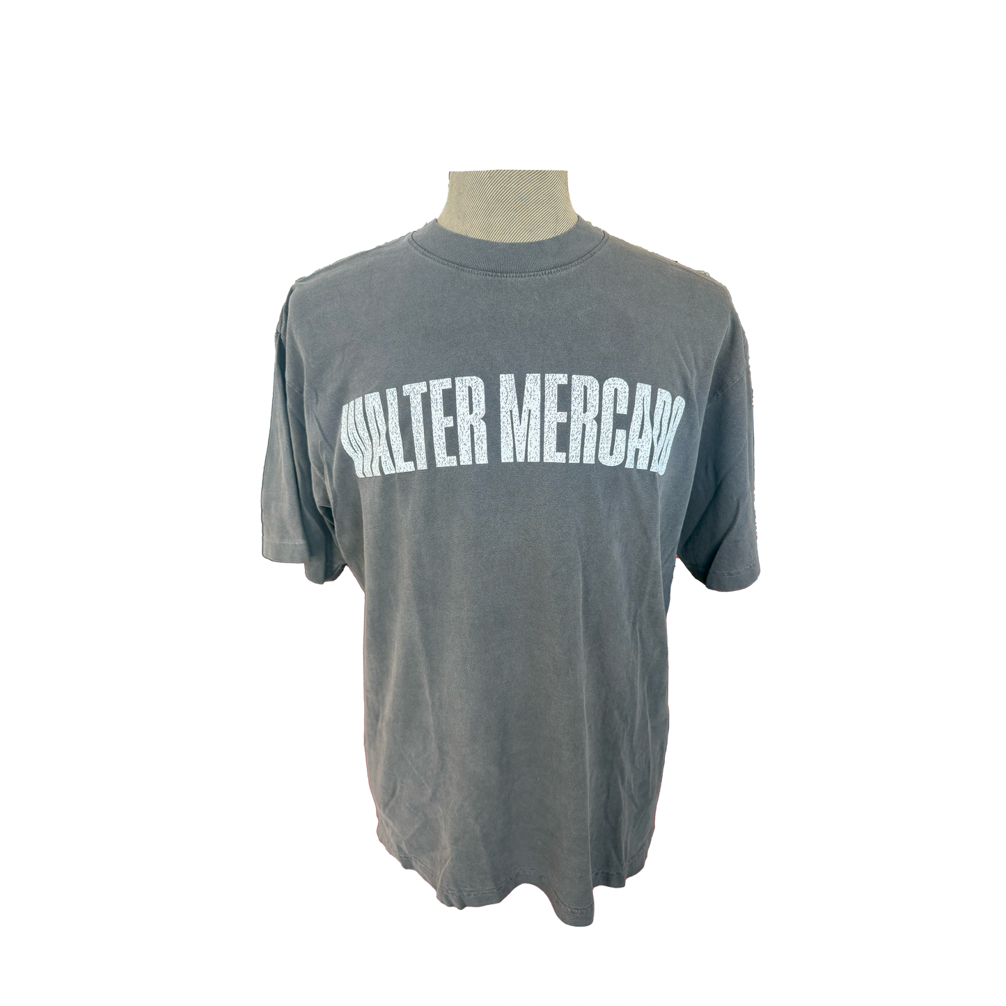 Walter Mercado The Power is in Your Hands T-Shirt