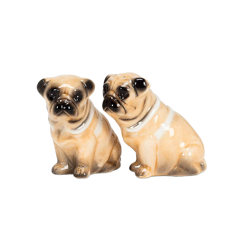 Pug Dog Salt & Pepper Shakers