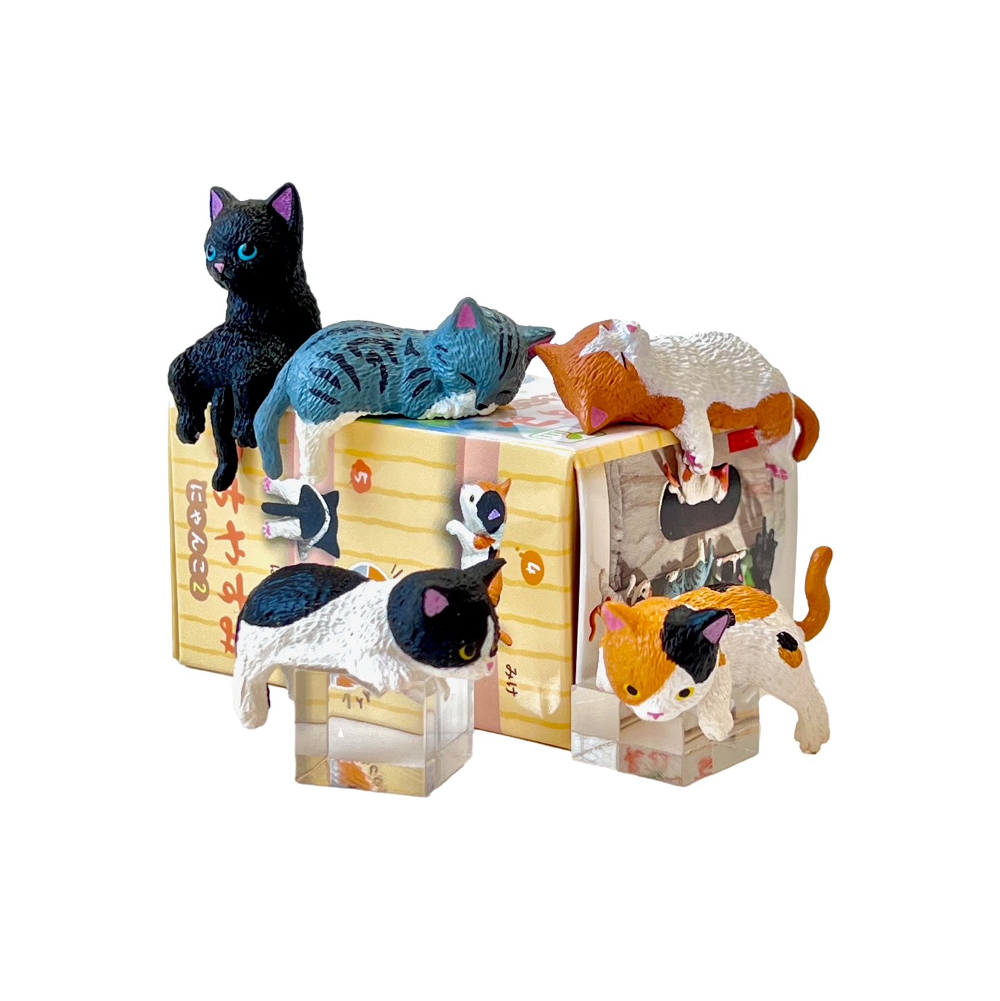 Resting cat Blind Box