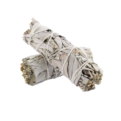 California White Sage Smudge Stick (4 in.)