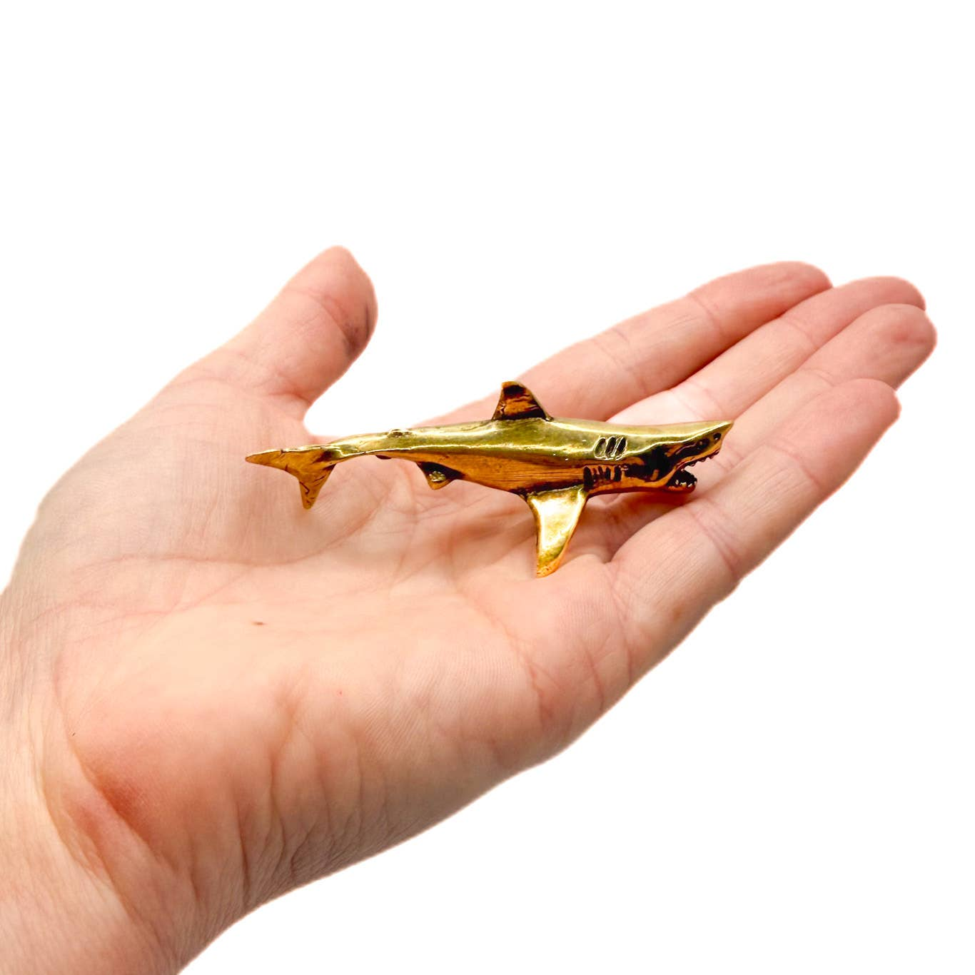 Brass Shark