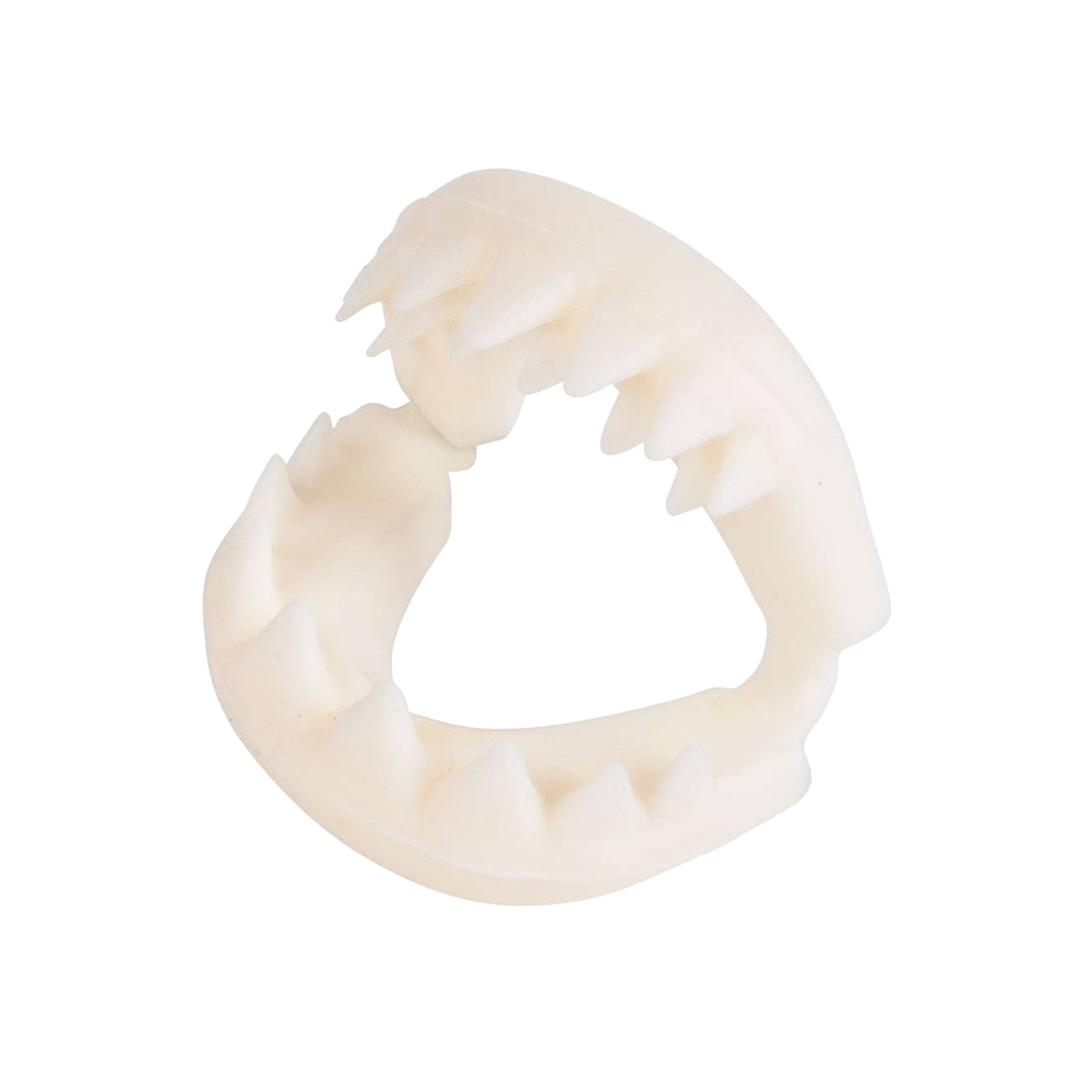 Great White Shark Teeth