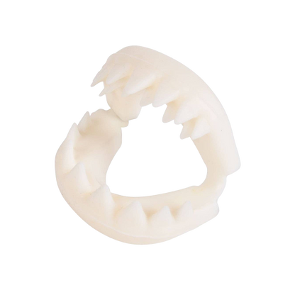 Great White Shark Teeth