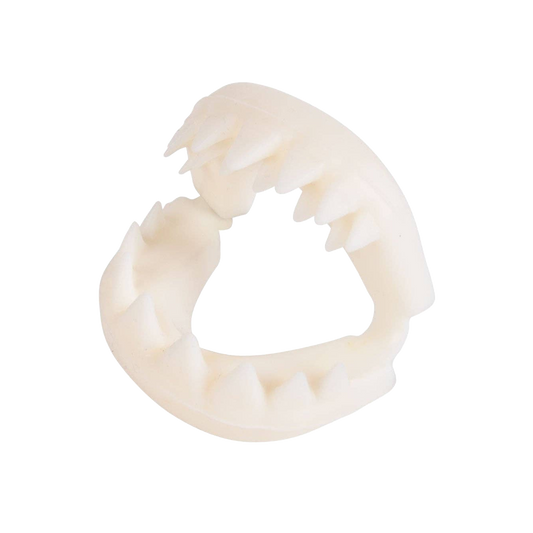 Great White Shark Teeth