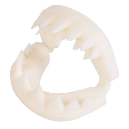 Great White Shark Teeth