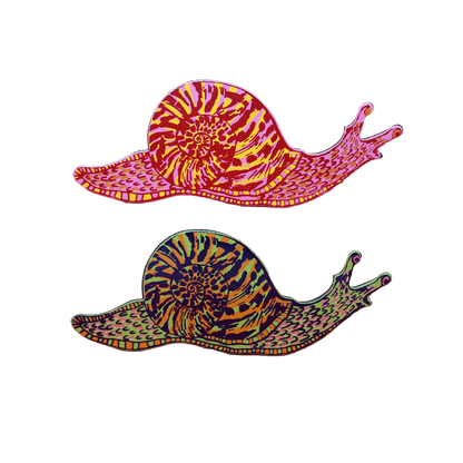 Snail Magnet