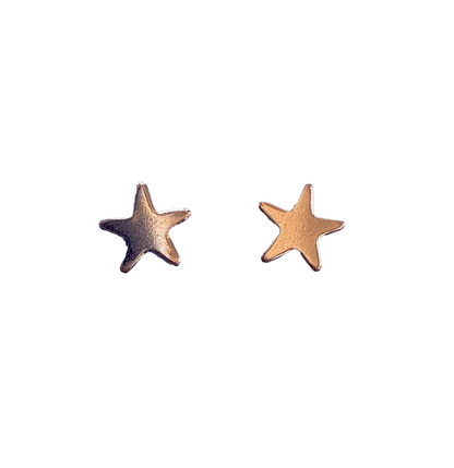 A Gold Star For You Post Earrings