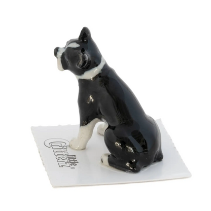 "Stubby" Boston Terrier Porcelain Miniature