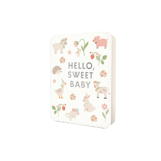 Hello, Sweet Baby Deluxe New Baby Greeting Card