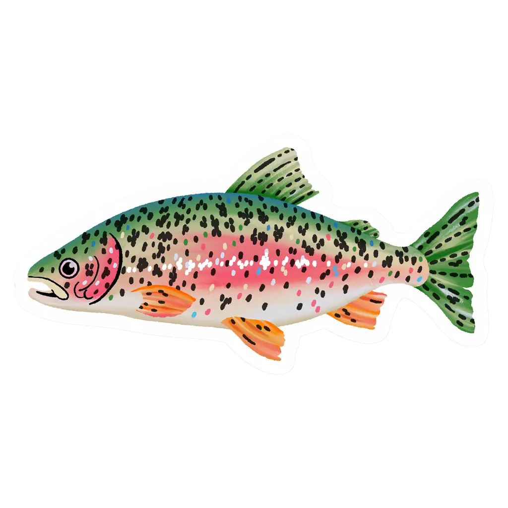 Rainbow Trout Sticker