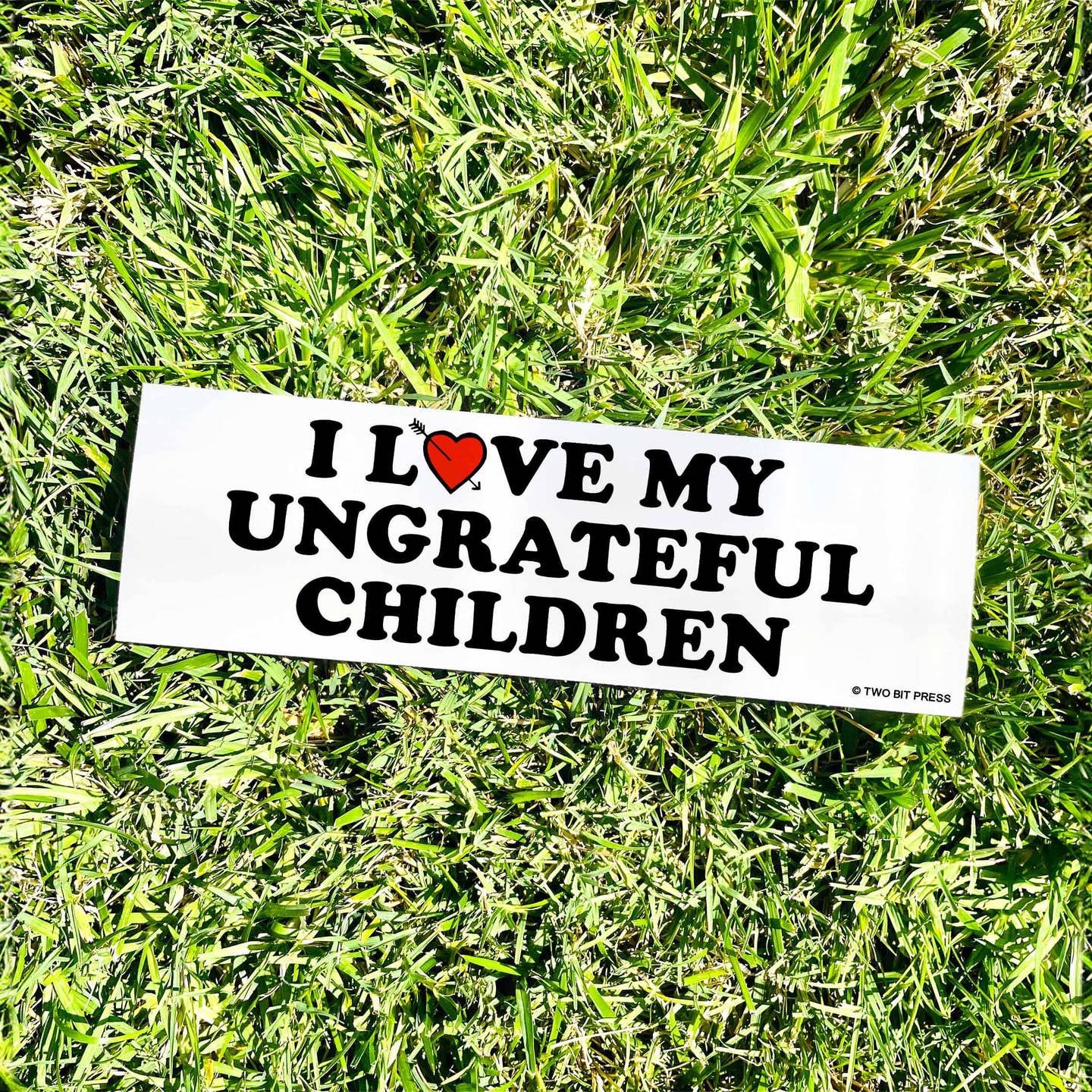 I Love My Ungrateful Children Bumper Sticker