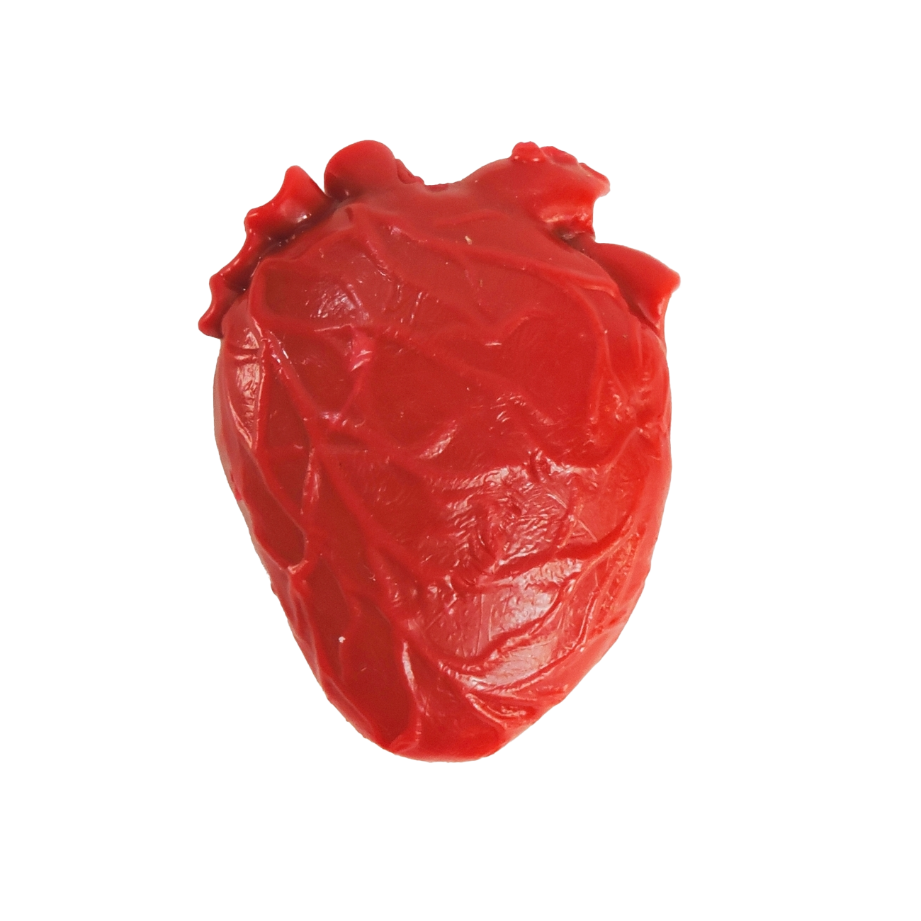 Teeny Tiny Vital Organ
