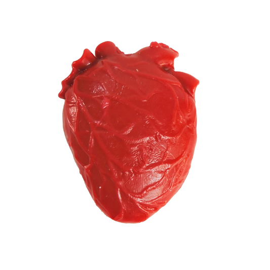 Teeny Tiny Vital Organ