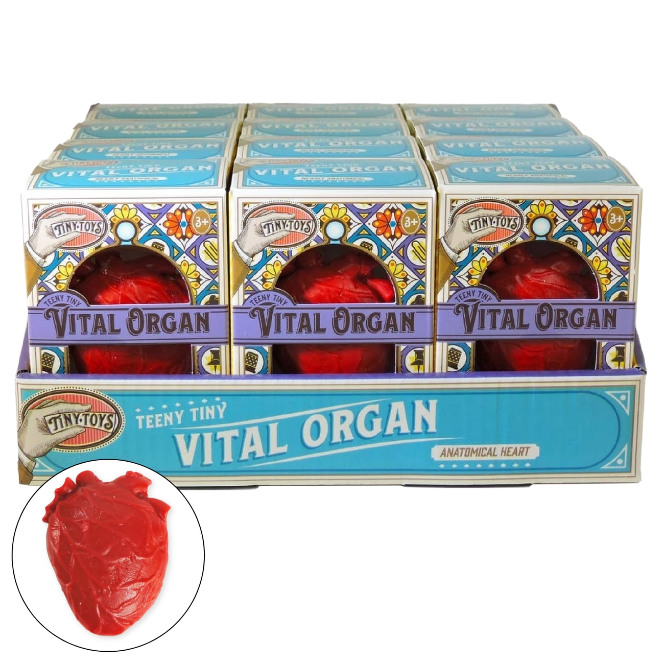 Teeny Tiny Vital Organ