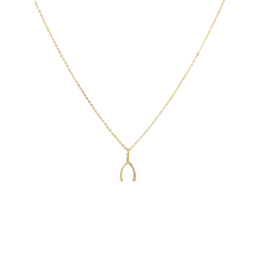 Wishbone Lucky You Necklace