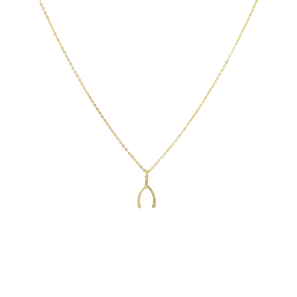 Wishbone Lucky You Necklace