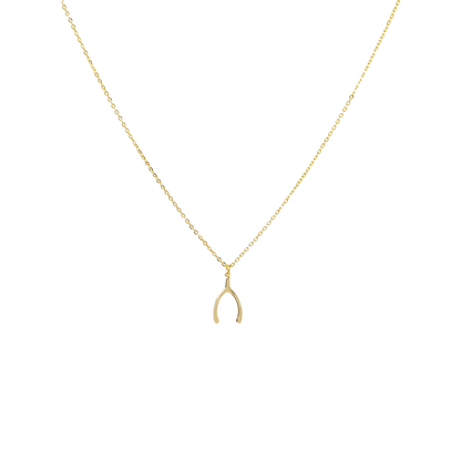 Wishbone Lucky You Necklace