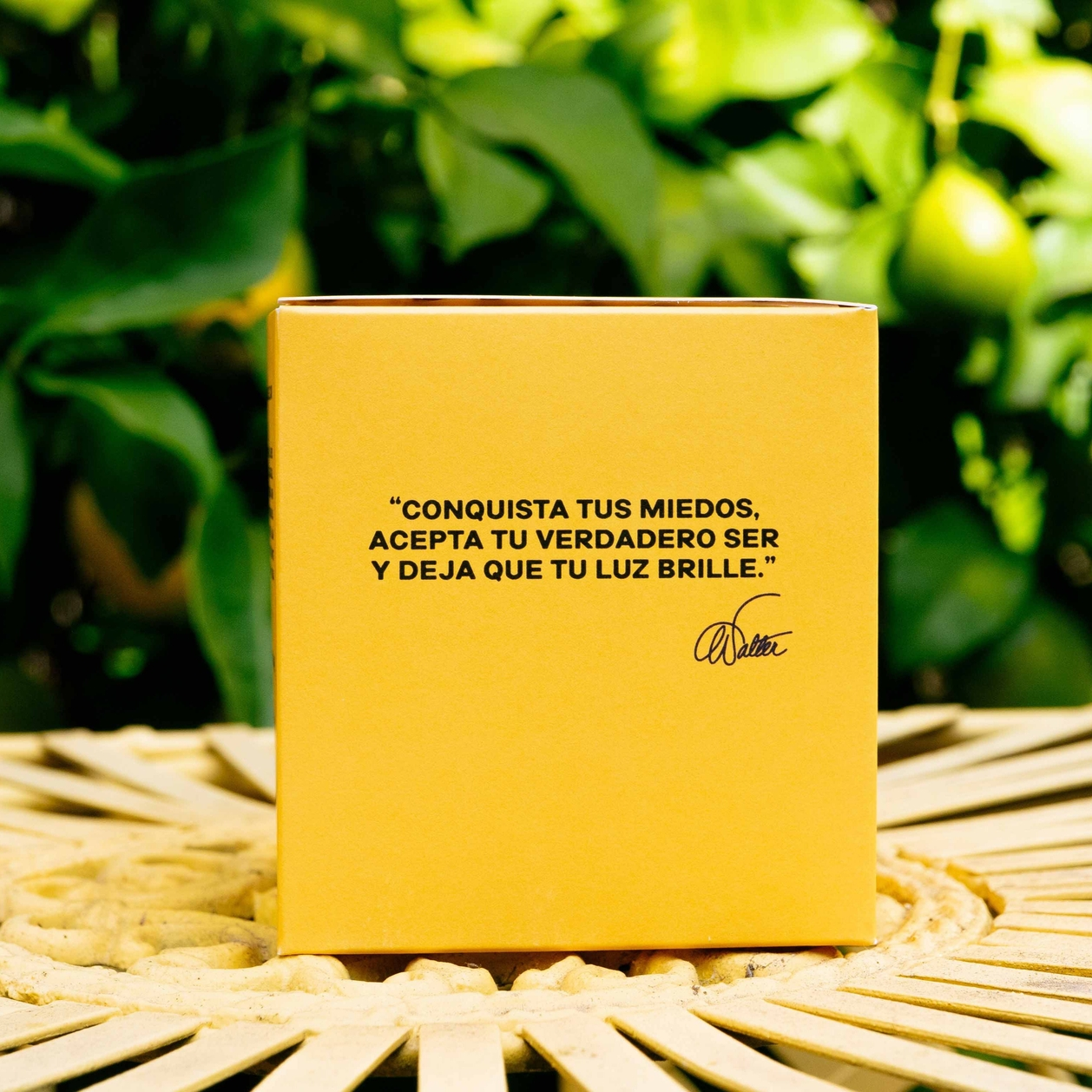 Sol Walter Mercado Candle