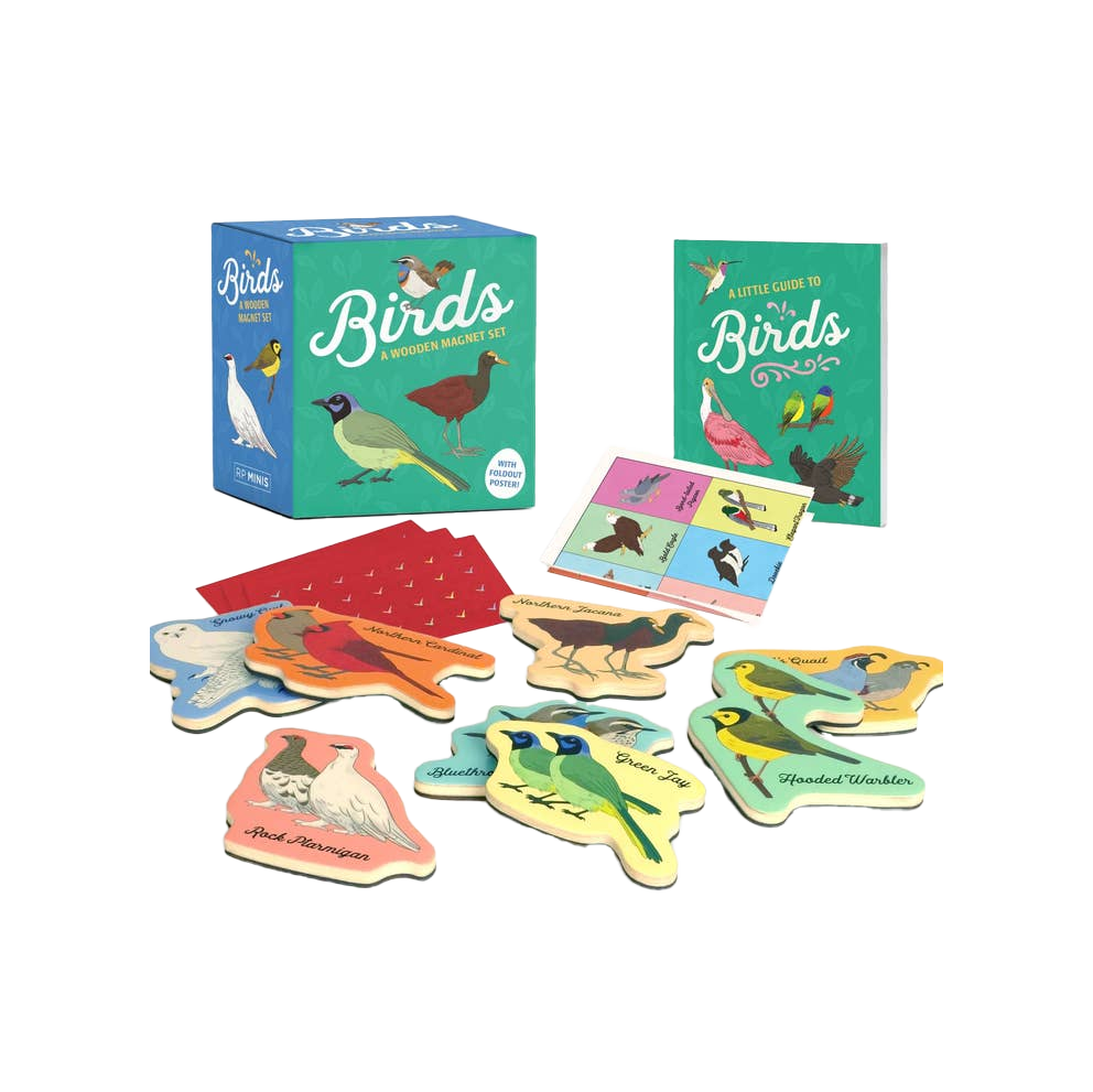 Birds: A Wooden Magnet Set