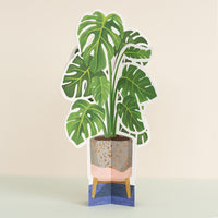3D Paper Monstera Plant