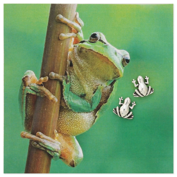 Hop to it Silver Frog Post Earrings