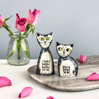 Tabby Cat Salt And Pepper Shakers