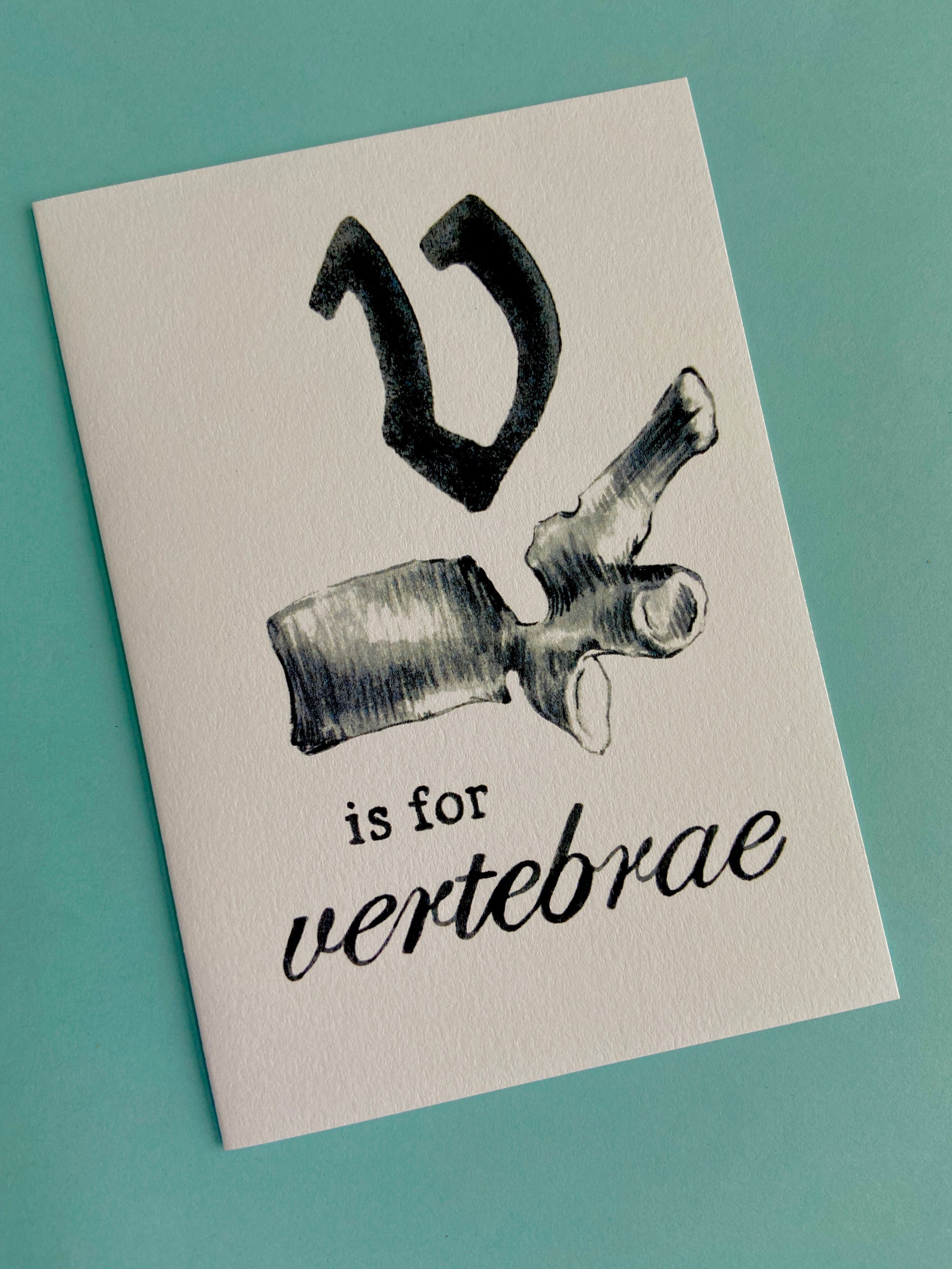 v is for vertebrae card