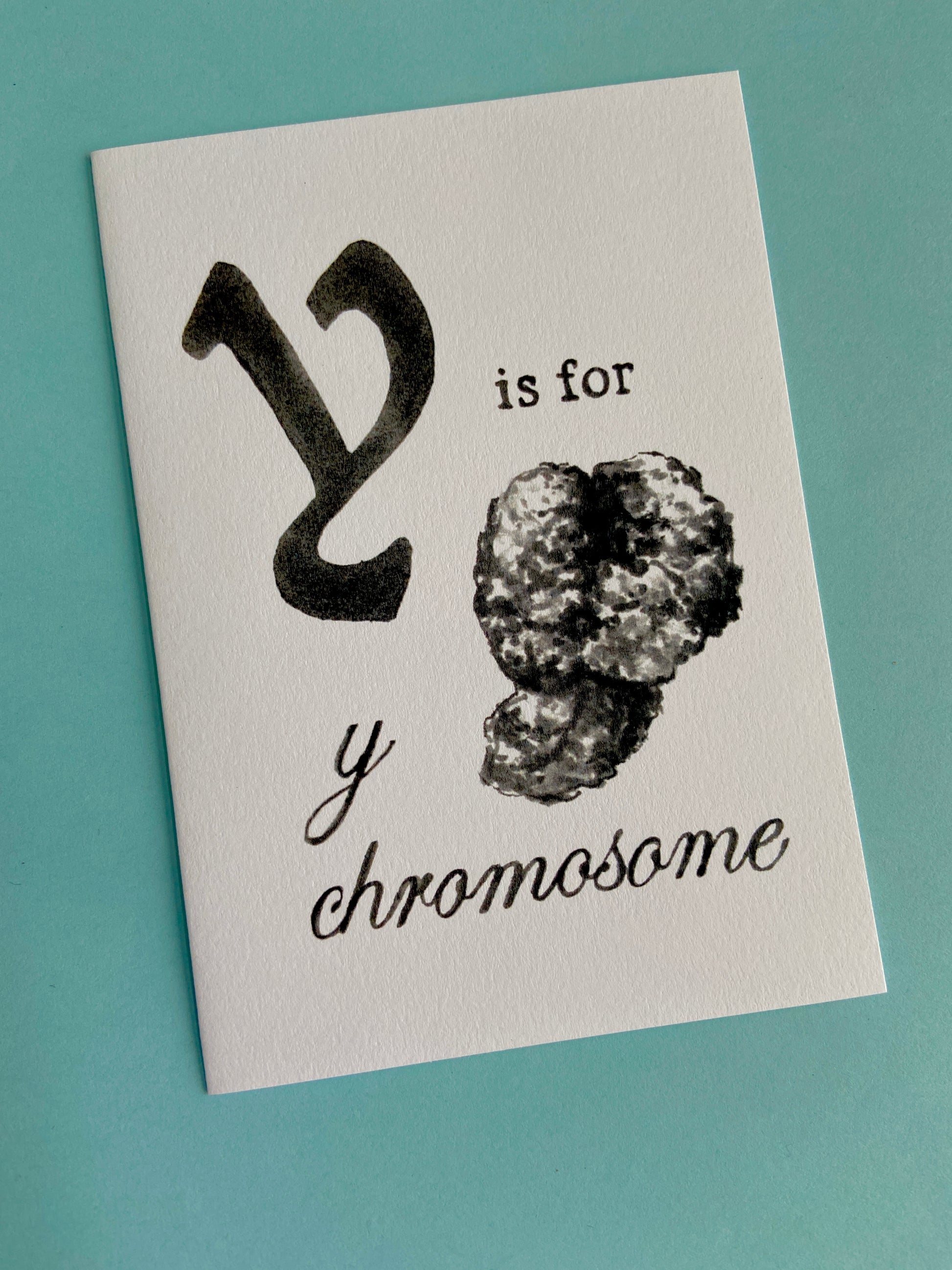 y is for y chromosome