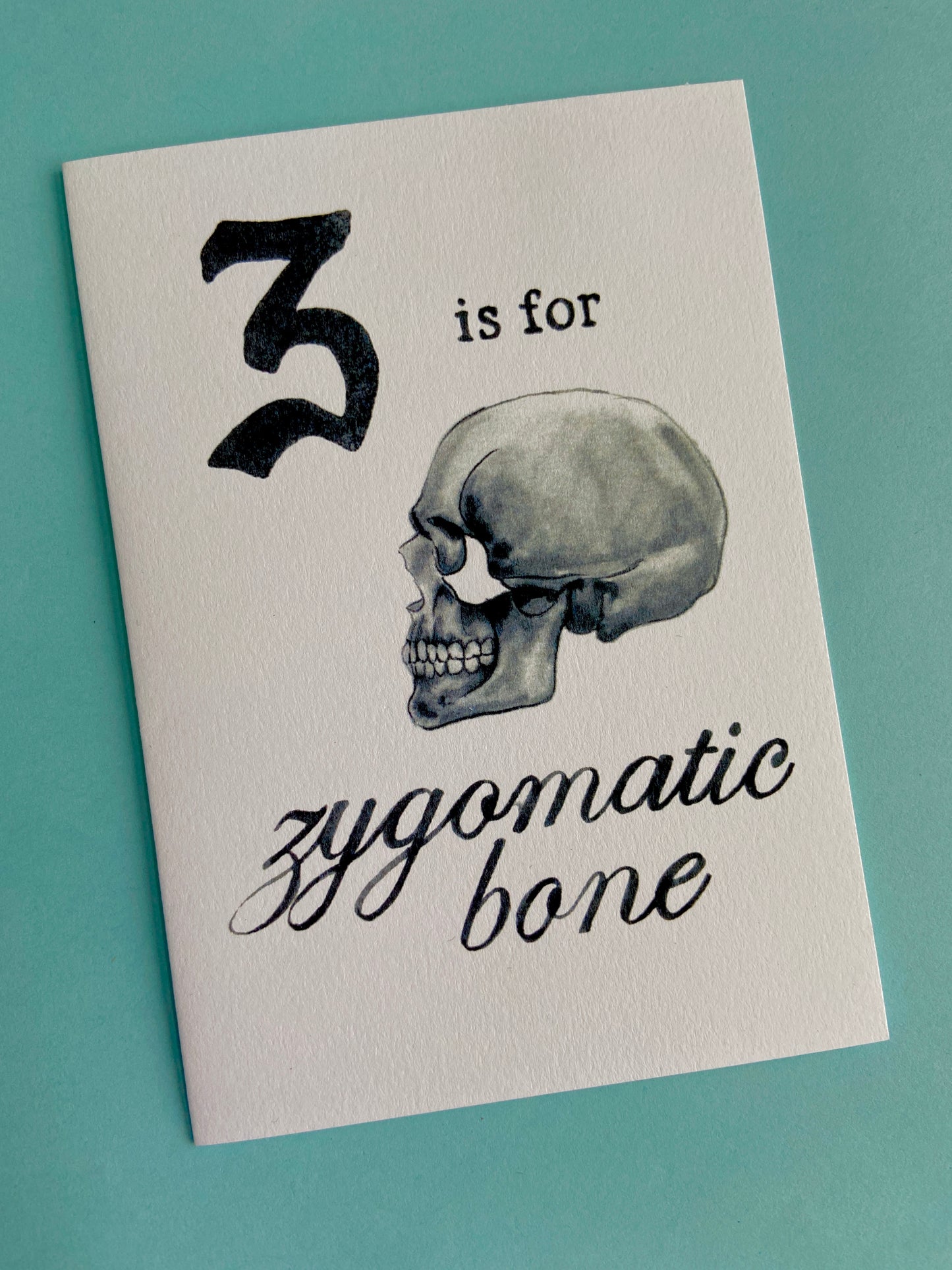 z is for zygomatic bone