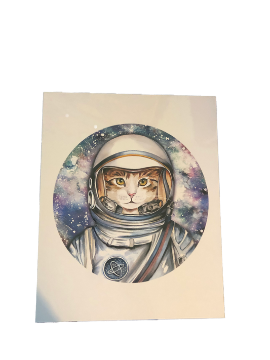 Nasa Space Cat Print