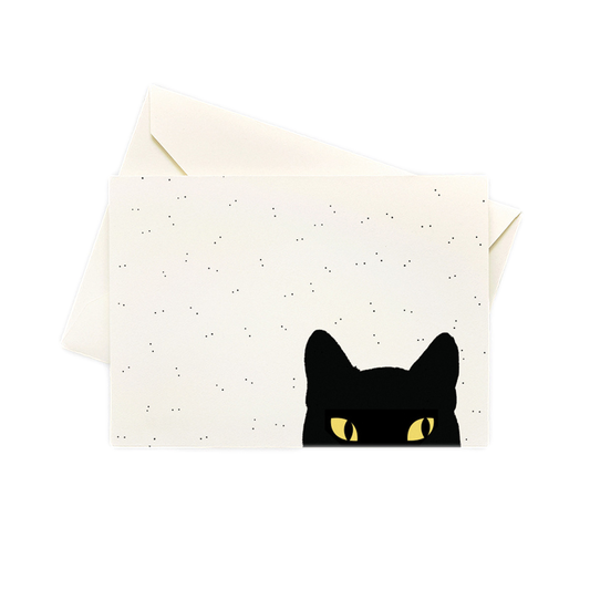 Cat Eyes Boxed Note Cards (Set of 10)