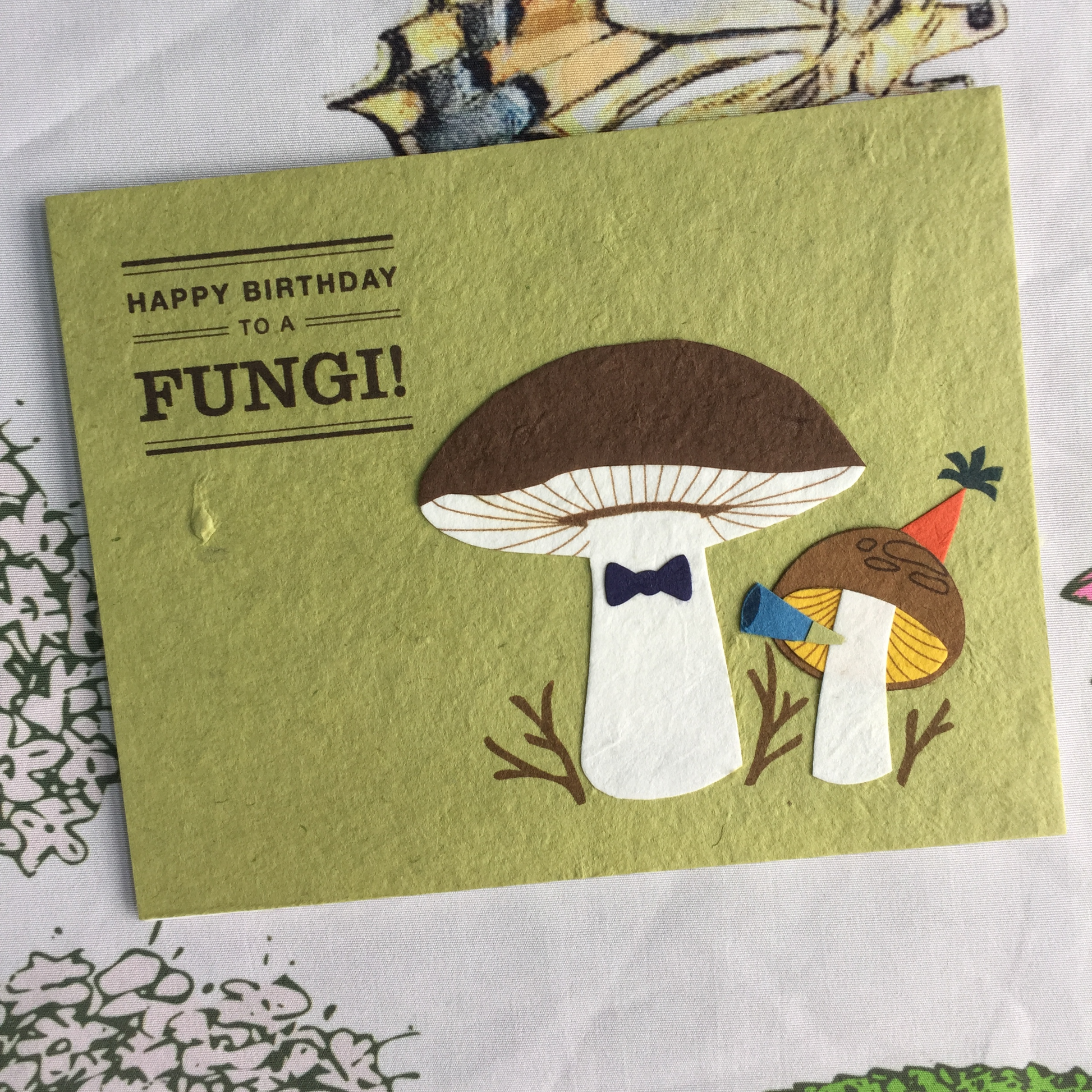 happy birthday to a fungi birthday card