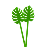Monstera Stir Sticks