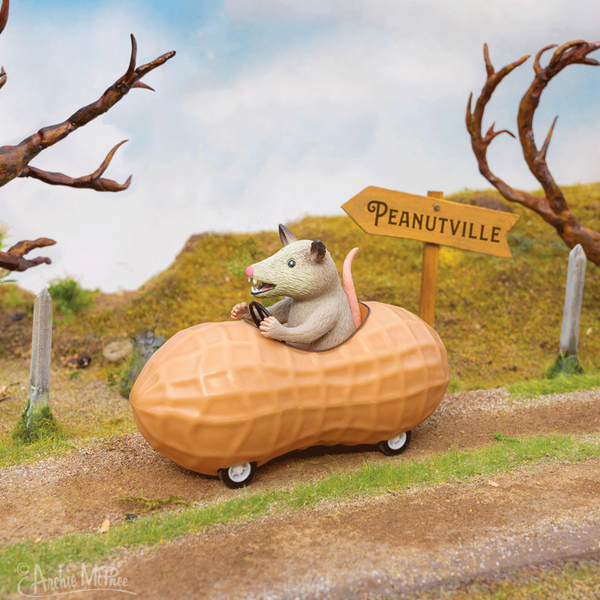 possum in a peanut racer